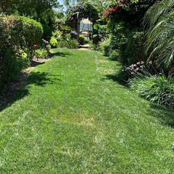Olive’s Gardening - Maintenance - Gardeners Near Me Olive’s Gardening - Maintenance - Gardeners Near Me