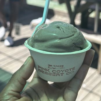 PINK COYOTE DESSERT - Updated December 2025 - 45 Photos & 22