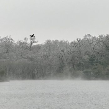 Fort Boggy State Park - Frosty morning with steam rising from the lake - 02.13.2021 - Great Blue Heron flying above the lake - Rafting/Kayaking Near Me - Centerville, Texas Fort Boggy State Park - Frosty morning with steam rising from the lake - 02.13.2021 - Great Blue Heron flying above the lake - Rafting/Kayaking Near Me - Centerville, Texas