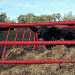 Winding Creek Farm