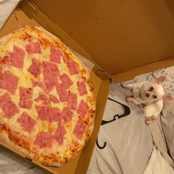 Steve's Pizza West - Different day but Ham pizza ! - Pizza Near Me - Miami, Florida