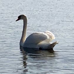Lake Tyler Marina Resort - Breakfast views Sept 25, 2021