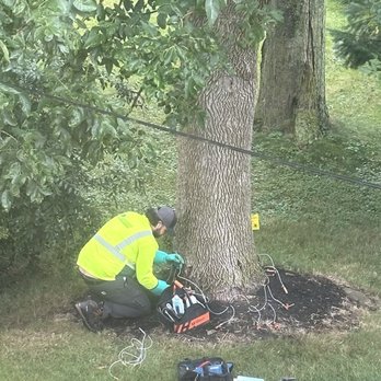 Bartlett Tree Experts - Ash borer tree treatment /prep - A person in a yellow safety jacket and gloves is working near a large tree, using specialized equipment for tree care or research. - Tree Services Near Me - West Falls, New York