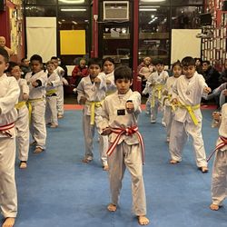 Ultimate Kicks Taekwondo  - Children's class
