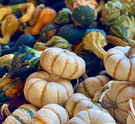 Jerry Smith Pumpkin Farm by null