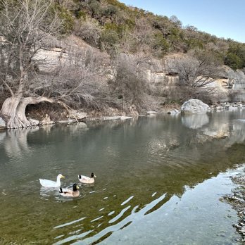 Guadalupe River State Park - A few residents paddling by - Parks Near Me - Spring Branch, Texas Guadalupe River State Park - A few residents paddling by - Parks Near Me - Spring Branch, Texas