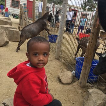 Barnyard Buddies - Petting Zoos Near Me - Lakewood, California