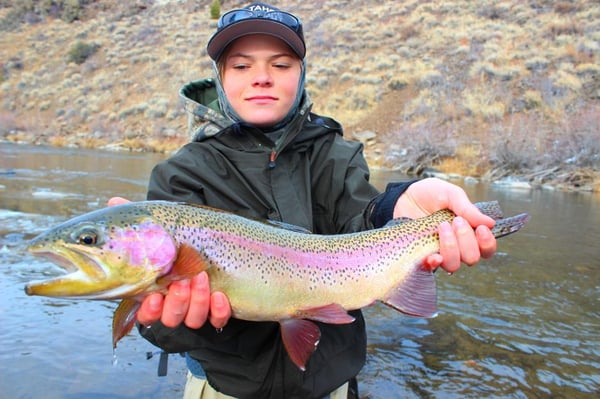 Matt Heron Fly Fishing by null