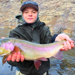 Matt Heron Fly Fishing