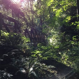 One of the many bridges over Coal Creek. One of the many bridges over Coal Creek.