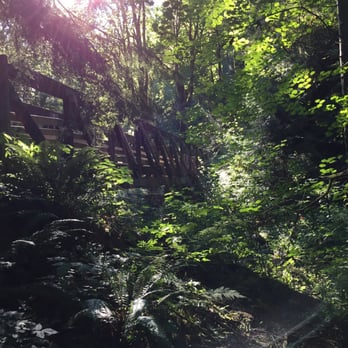 Coal Creek Natural Area - One of the many bridges over Coal Creek. - Parks Near Me - Bellevue, Washington Coal Creek Natural Area - One of the many bridges over Coal Creek. - Parks Near Me - Bellevue, Washington