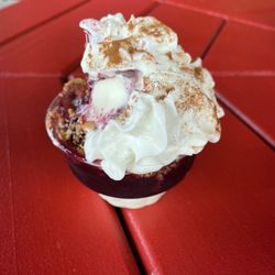 Lynnie Lou's Homemade Ice Cream - Grape sundae