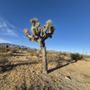 Jackrabbit Flats Wildlife Sanctuary