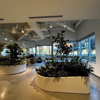 The Branch - Coffee & Tea Near Me - San Ramon, California