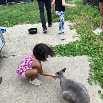Hansen's Dairy Farm - Hudson - Baby kangaroo - Food Tours Near Me - Hudson, Iowa Hansen's Dairy Farm - Hudson - Baby kangaroo - Food Tours Near Me - Hudson, Iowa