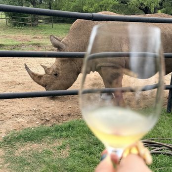 Rhinory - Rhino - Wineries Near Me - Fredericksburg, Texas Rhinory - Rhino - Wineries Near Me - Fredericksburg, Texas