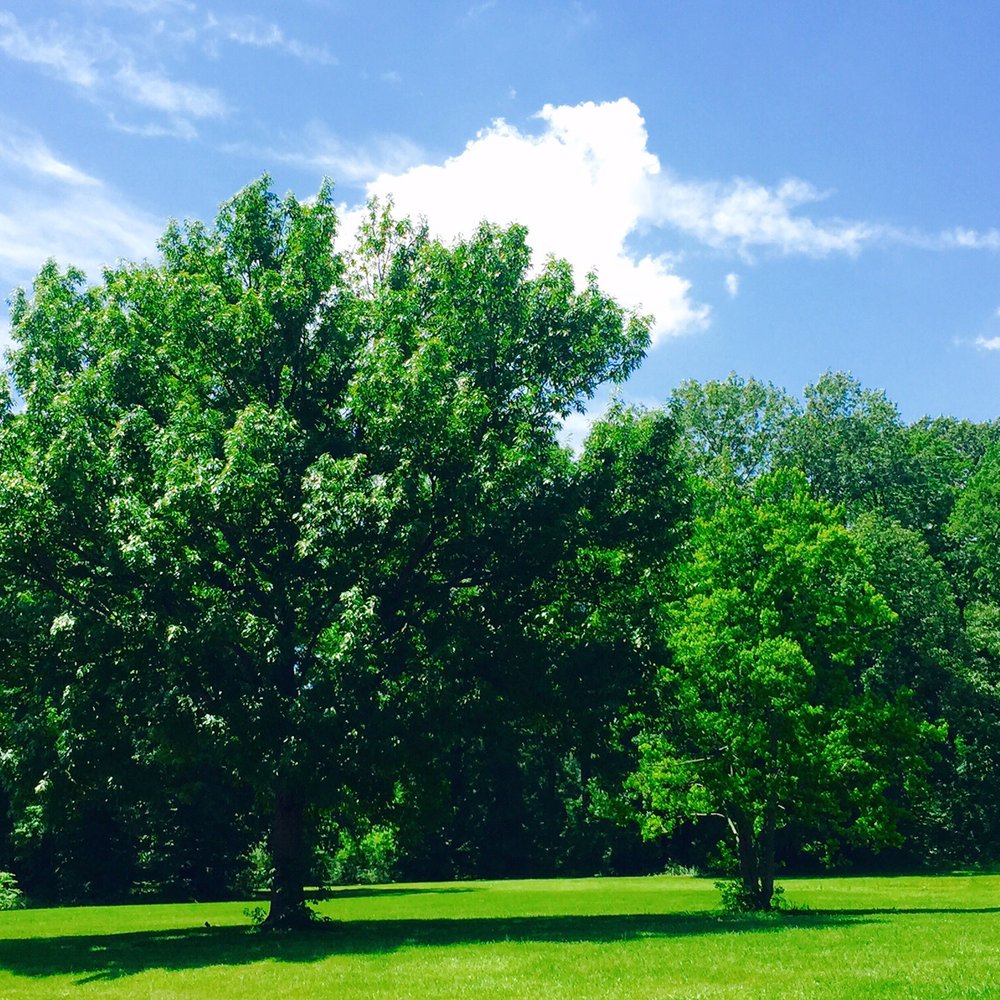 Chennault Park Golf Course - beautiful day! - Golf Near Me - Monroe, Louisiana