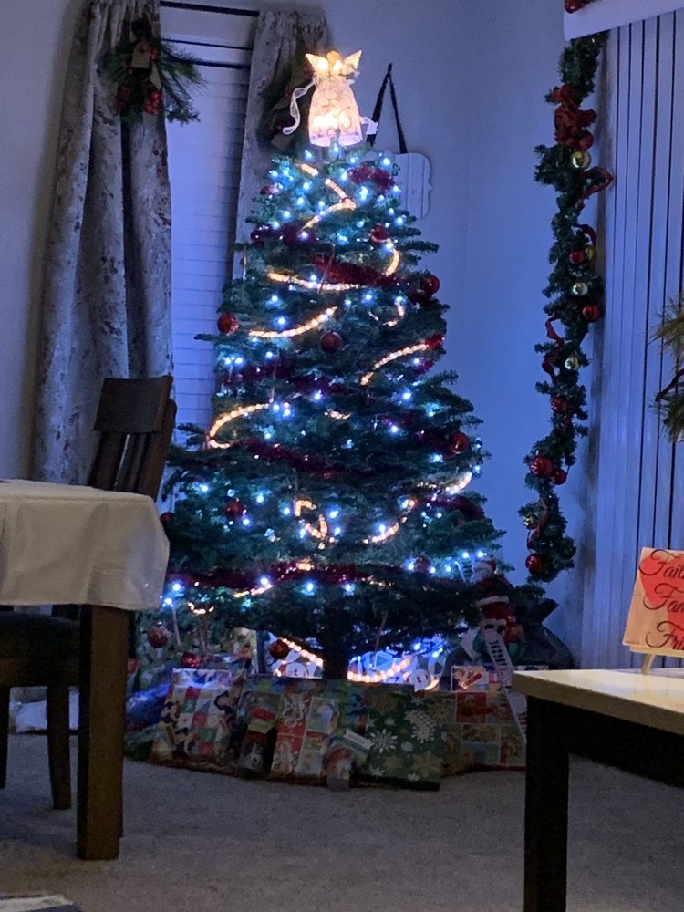 BUCKELEW FARMS CHRISTMAS TREES Updated October 2024 16 Photos