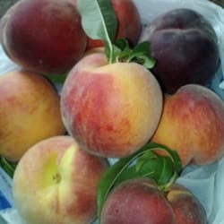 Cody Orchards - Yum!