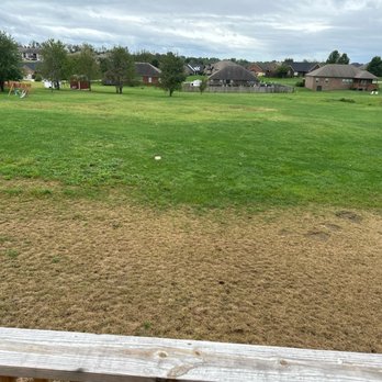Weed Man - The area they treated and the area they did not. - Pest Control Near Me - Lexington, Kentucky
