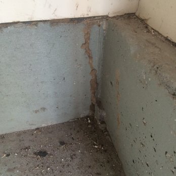 Olympic Pest Service - Termite shelter tube coming out of the floor in the garage - Pest Control Near Me - Parlin, New Jersey