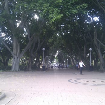 Hyde Park - Parks Near Me - Sydney, NSW