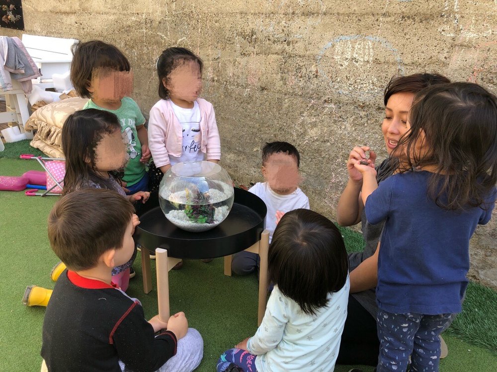 SOMA Daycare & Preschool - childcare center in San Francisco, CA