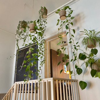 Konsjös - Wine Bars Near Me - Frederiksberg, 84 Konsjös - Wine Bars Near Me - Frederiksberg, 84