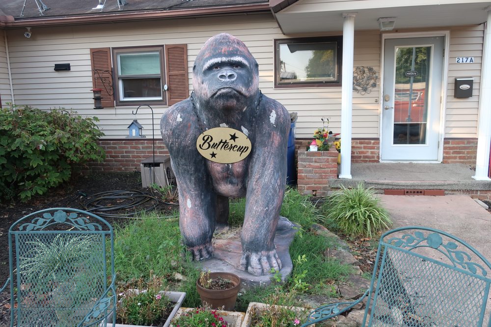 VACS ETC Updated September 2024 217 S College St, Mountain Home