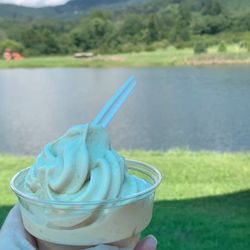 Critzer Family Farm - Ice cream cup