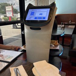 Robot delivering our food