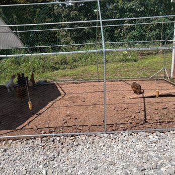 Hatfield Family Distillery - Chickens - Wineries Near Me - Charleston, West Virginia