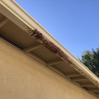 The Tinman - Current gutter need quote - Gutter Services Near Me - Rancho Cordova, California The Tinman - Current gutter need quote - Gutter Services Near Me - Rancho Cordova, California