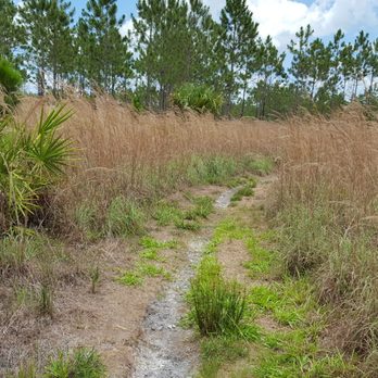 Little Manatee River State Park - Scrub trail - Parks Near Me - Wimauma, Florida Little Manatee River State Park - Scrub trail - Parks Near Me - Wimauma, Florida