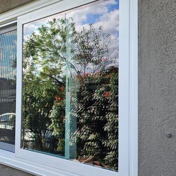 Pete Veldman Construction - the reflection of a tree in a window - General Contractors Near Me - Yucaipa, California Pete Veldman Construction - the reflection of a tree in a window - General Contractors Near Me - Yucaipa, California
