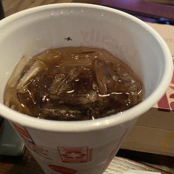 McDonald's - Fly in my drink! - Fast Food Near Me - Annaville, Texas