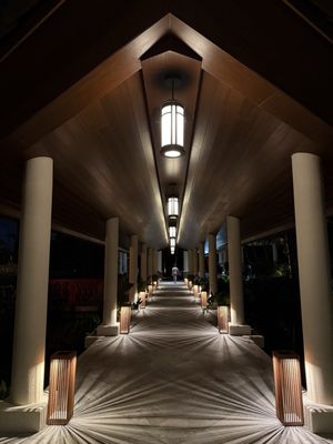 Cane & Canoe by null