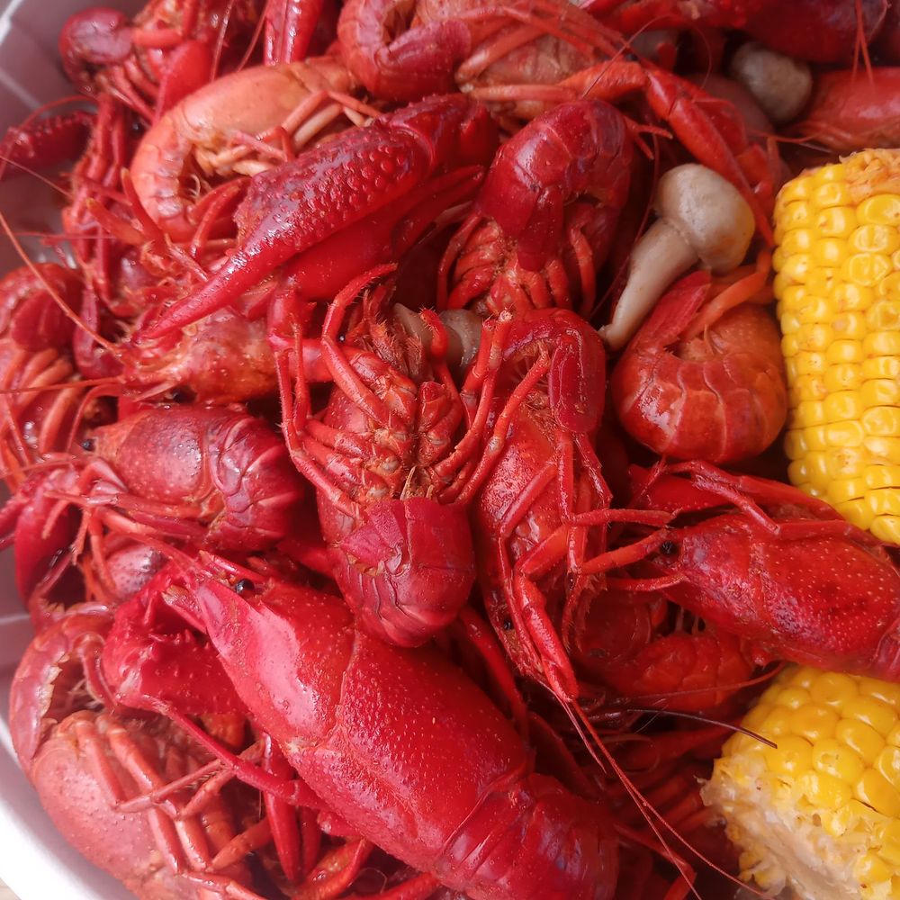 Texas Crawfish - Food Trucks Near Me - Spring, Texas Texas Crawfish - Food Trucks Near Me - Spring, Texas