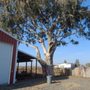 Photo of John N Eddie's Tree Care