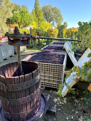 Charter Oak Winery by null