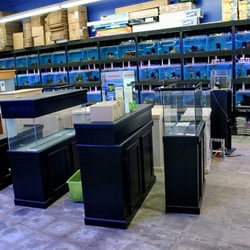 fish stores around me