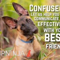 PupNinja Dog Training - We are happy to help, give us a call.