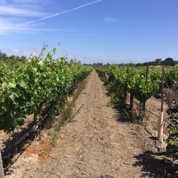 Rideau Vineyard - Wine Tasting Room Near Me - Solvang, California Rideau Vineyard - Wine Tasting Room Near Me - Solvang, California