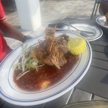 Zeke's Restaurant - Moroccan Whole Fish - Salad Near Me - Orange Beach, Alabama Zeke's Restaurant - Moroccan Whole Fish - Salad Near Me - Orange Beach, Alabama