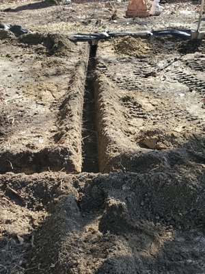 Rain or Shine Landscapes Logo