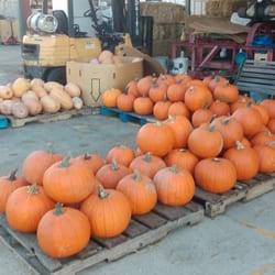 Brookway Market Basket - A few more.