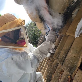 True Pest Control - Pest Control Near Me True Pest Control - Pest Control Near Me
