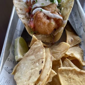 Pacific Catch - Crispy Shrimp Taco - Seafood Near Me - Tustin, California
