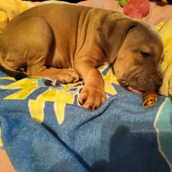 Paws Clinic - Taking the new baby to Paws clinic today they are the best