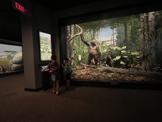 The Academy of Natural Sciences of Drexel University by null